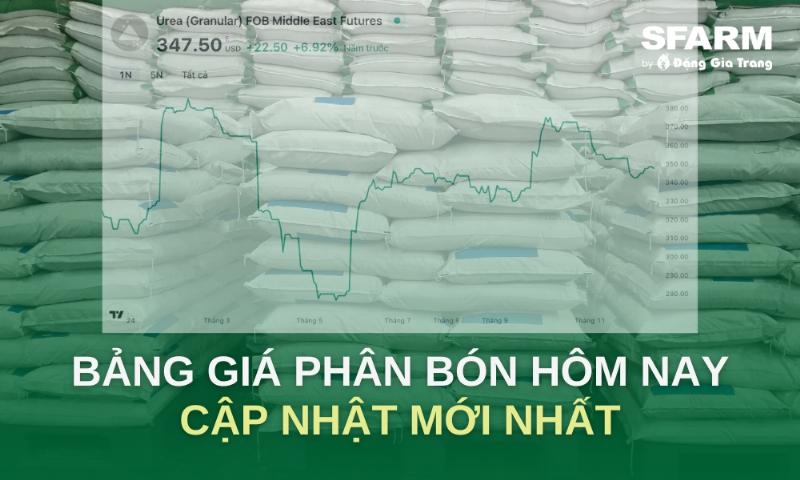 Thị trường phân bón và biến động giá phân DAP hôm nay